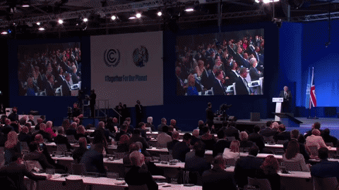 RedGorillas - Bangalore