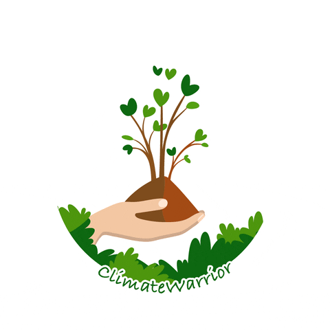 RedGorillas - Bangalore